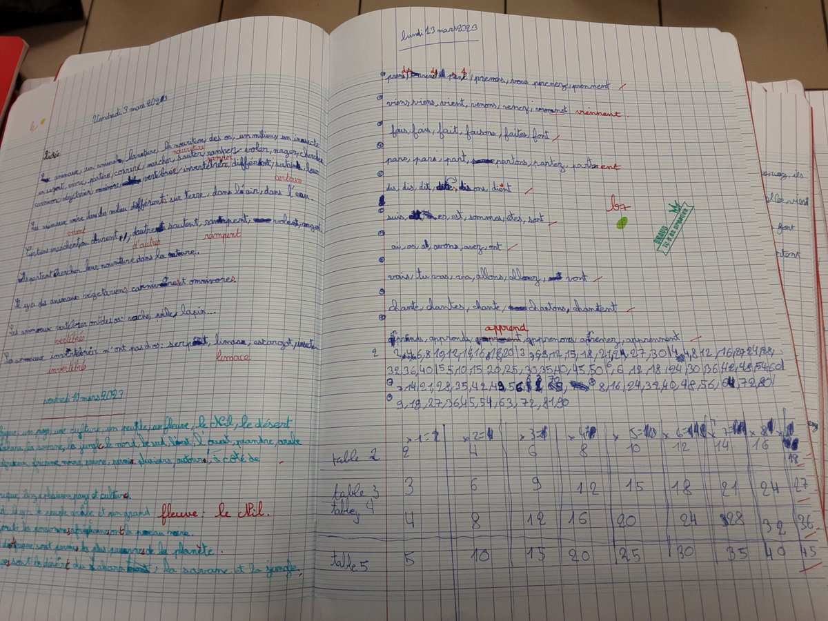 CChalandray's tweet photo. Les CE2: on a fait un parcours #EPS , on a fait le bilan : les tables et les verbes. On a lu l'œil du loup chapitre 2 - Les CP : on était en ronde et on a attrapé et lancé la balle. On a fait les maths et la géométrie. 🤣 https://t.co/mvytCTE0dp
