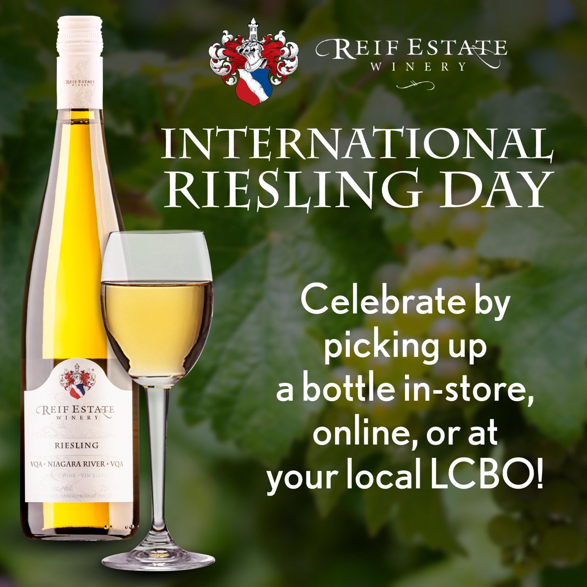 Reifwinery's tweet image. Today is #InternationalRieslingDay!

Celebrate in style by picking up a bottle of Reif Estate #VQA Riesling in-store, online, or at your local @LCBO!

PLUS, get FREE SHIPPING on every 6 bottles when you use promo code FREESHIPONSIX at checkout!

Shop here: ow.ly/gyqF50NgPYf