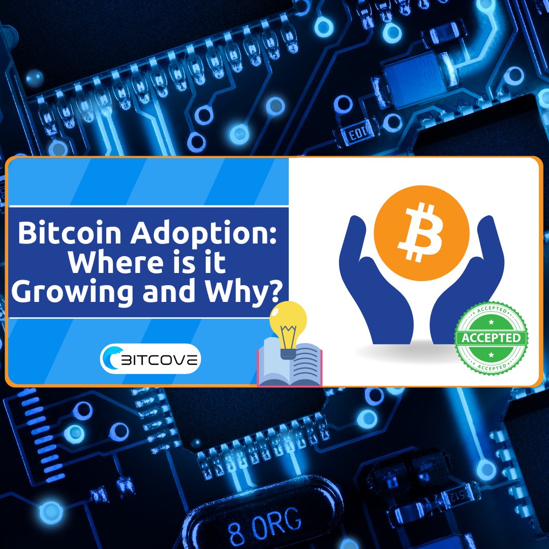 Bitcove tweet media