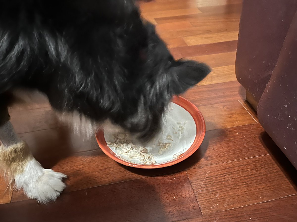 Dr. Lupita Hinojosa tweet media