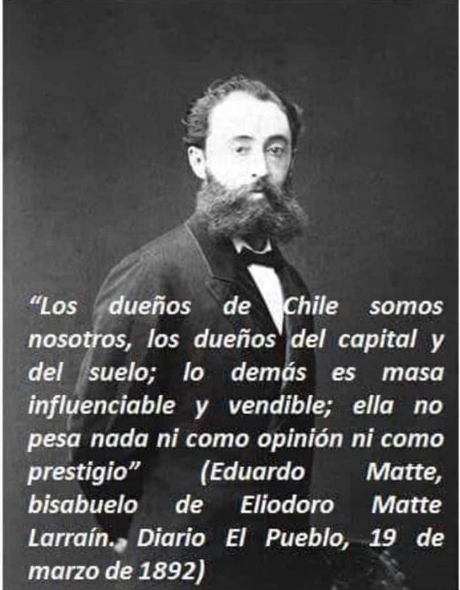 carolinadoris tweet media