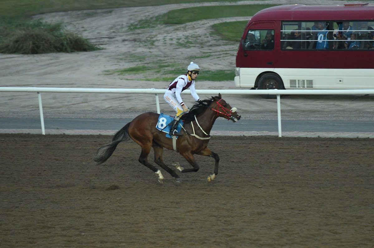 RacesEquestrian's tweet photo. الشوط السادس :
 نادي الصيدوالفروسية
 ( كأس البطولة دربي الكويت ) 
ثنايا مواليد 2020
 المسافة / 1800م / الوقت المسجل : 1,54,8
الجواد / علقم
 أسطبل / طلال الرشيدي
المدرب / احمد الرشيدي
الخيال / دانيال https://t.co/o78mJnxqd4