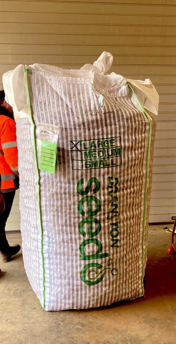 EASTERN SEED GROWERS (@easternseed) on Twitter photo Another busy day @easternseed with Lanorma being bagged ready for our loading tomorrow. #branston #Lanorma <a href="/BranstonSeed/">Branston Seed</a> <a href="/Branston/">Branston Ltd</a> #potatoes #britishseed #agriculture #britishproduce Another busy day @easternseed with Lanorma being bagged ready for our loading tomorrow. #branston #Lanorma <a href="/BranstonSeed/">Branston Seed</a> <a href="/Branston/">Branston Ltd</a> #potatoes #britishseed #agriculture #britishproduce