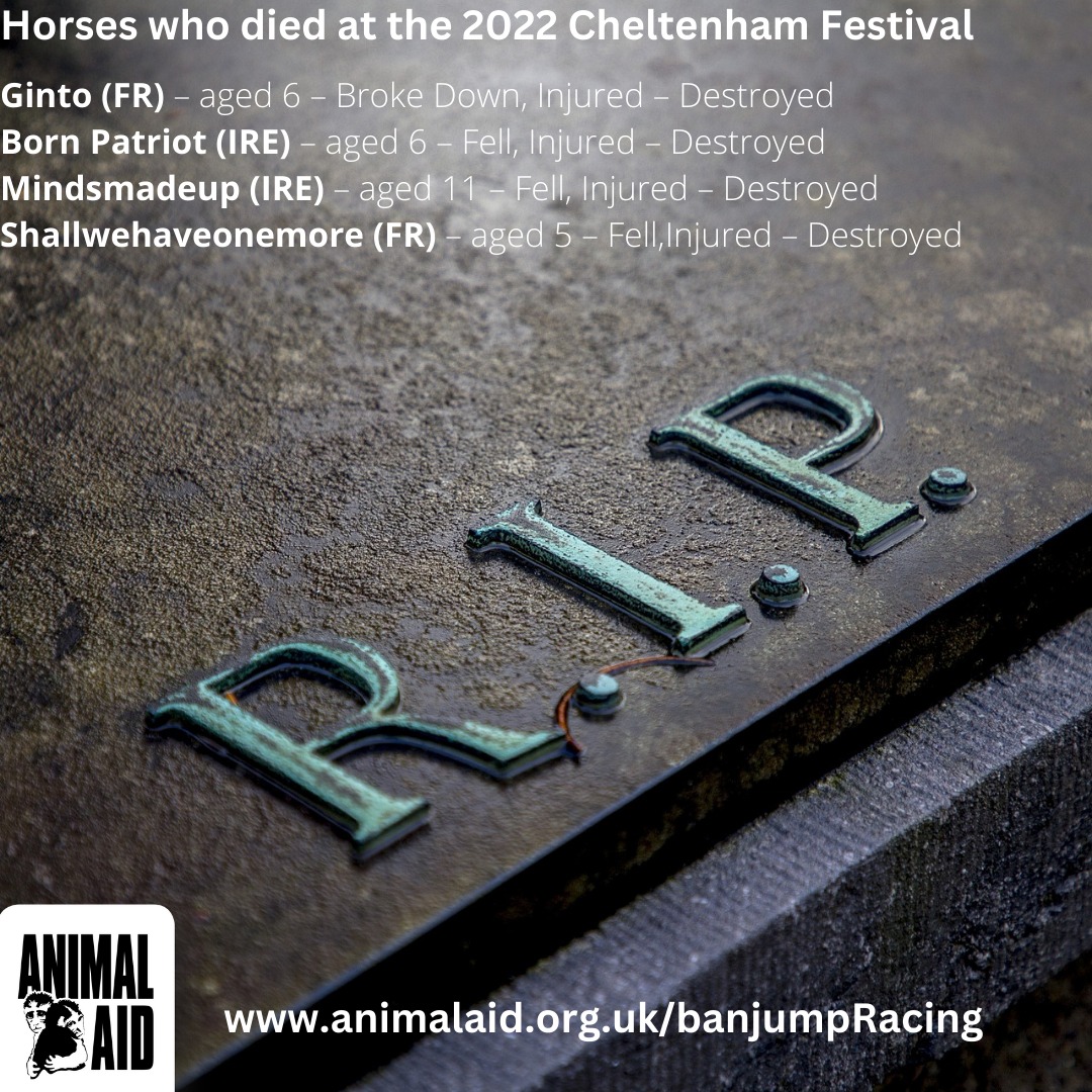 AnimalAid's tweet photo. Since 2001, more than 3000 horses have been killed as a result of jump racing in Britain. It’s time to ban jump racing: https://t.co/UZTtm1zt5i
 
#BanJumpRacing #Cheltenham #Aintree #GrandNational https://t.co/R9CVrnYg7b