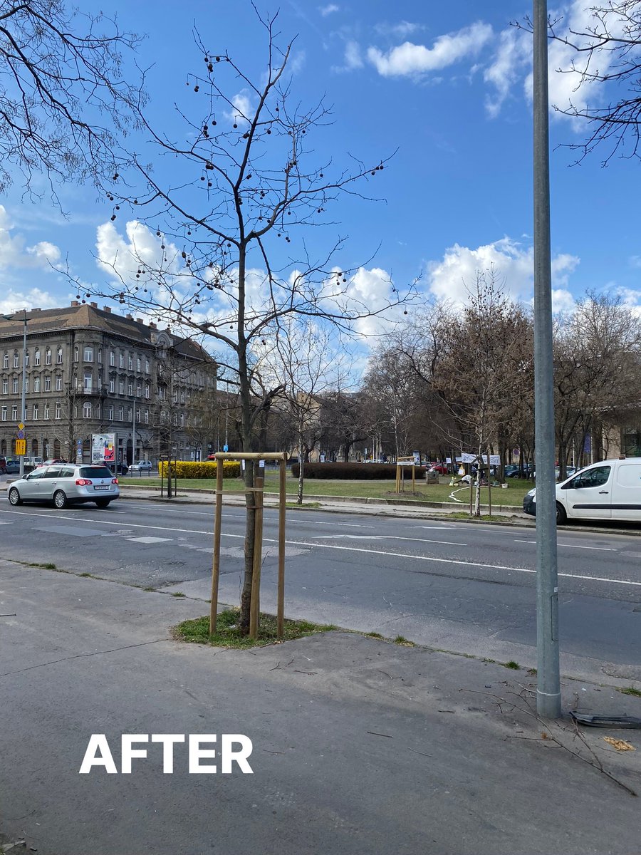 This week one of our colleagues witnessed a hit and run... on a #tree. They reported the damage to #Budapest's #treecare company <a href="/FokertZrt/">FŐKERT Nonprofit Zrt</a>, which immediately jumped into action. #Stewardship of the #urbanforest is the responsibility of all!