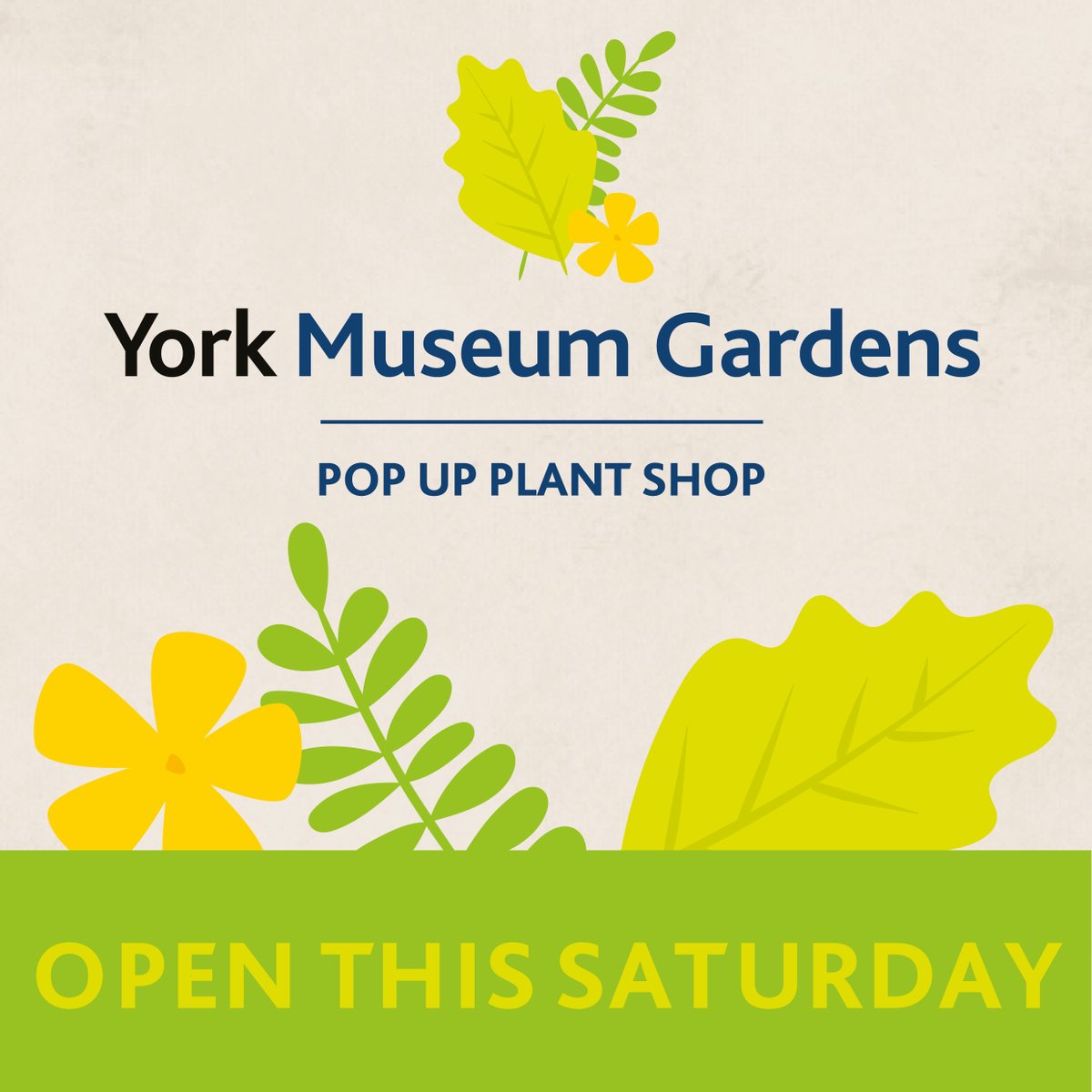Head to our first Pop Up Plant Shop of the year and browse our beautiful spring bulbs – the perfect Mother’s Day gift! 🌼

Saturday 18 March, 10:30-3pm.

Proceeds from the Pop Up Plant Shop will be invested back into the gardens! Find out more: yorkmuseumstrust.org.uk/whats-on/event…