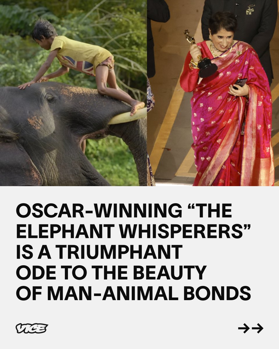 VICE India tweet media