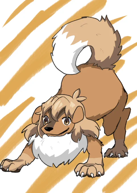犬花 
