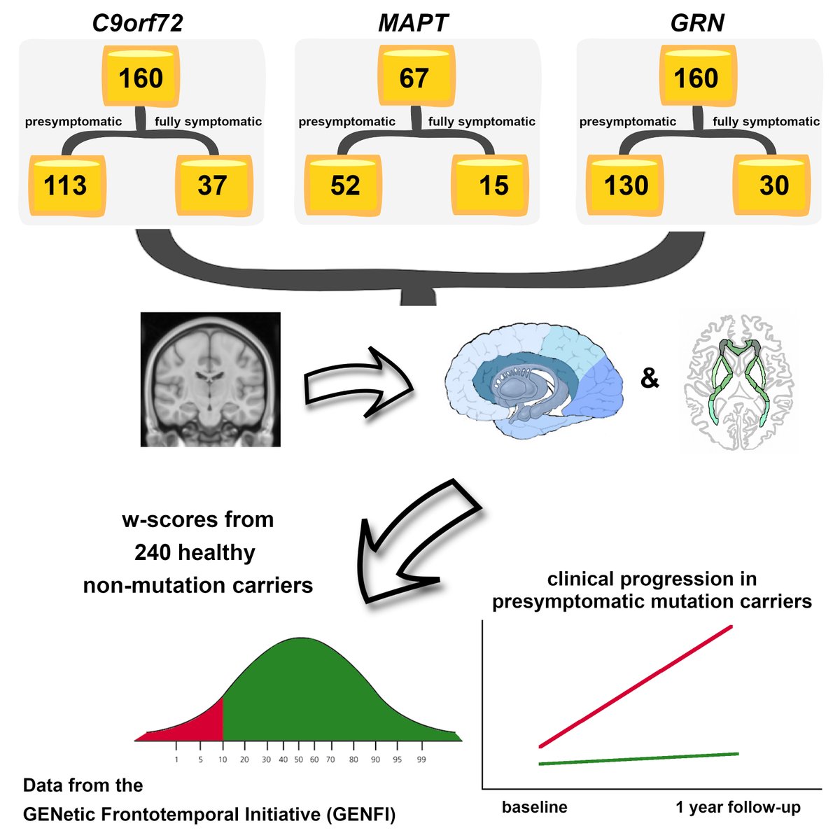 BocchettaM's tweet photo. Thrilled to finally see our @GENFI1 paper on the association between brain MRI measures and clinical progression in genetic #FTD.
Huge thanks to all the collaborators, @AlzSocResearch, and most importantly #GENFI participants!
📑@braincomms: https://t.co/zxvAnwUR73 https://t.co/2vCnmbUZOO