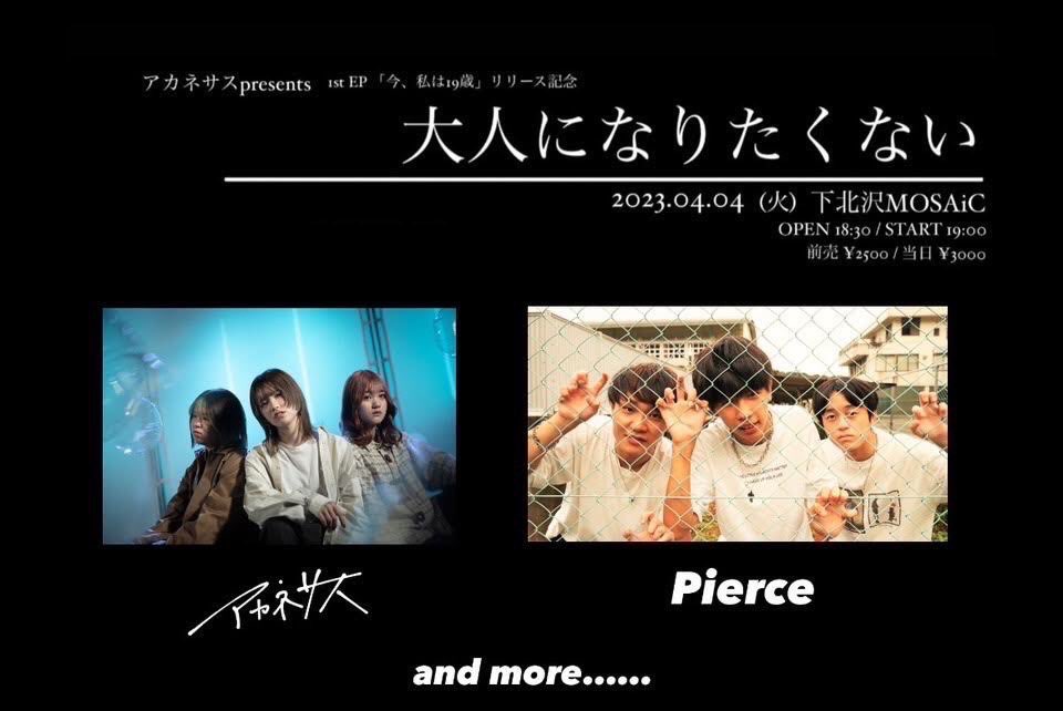 Pierce_kochi_OA's tweet photo. ＼＼🔥LIVE info🔥／／

アカネサスpresents. 1st EPリリース記念
    　      『大人になりたくない』

Pierce出演させていただきます！✨先輩バンドアカネサスさんと下北沢MOSAiCで対バン！🔥物凄く楽しみです！⚡️僕たちのバチバチの音楽を東京の皆さんに全力で届けます！💪🔥

取り置きはDMまで！🙇‍♂️ https://t.co/I5LyGRmUl7
