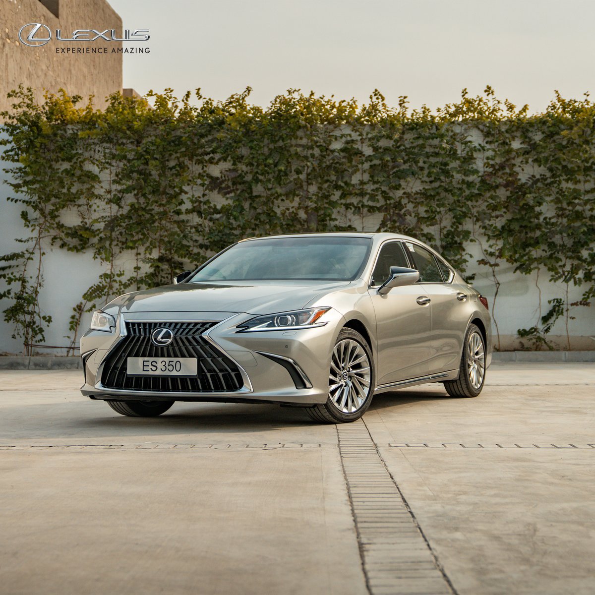 Lexus_iraq's tweet photo. بدقّة تفاصيلها، وجرأة طموحها، بكل ما تحمله من قوة وإصرار، هي ومن غيرها؟
لكزس ES 2023
#lexus #lexusiraq #experienceamazing #ES #iraq #لكزس_العراق #العراق #لكزس_الآن_في_العراق https://t.co/rhvyoZFQrD