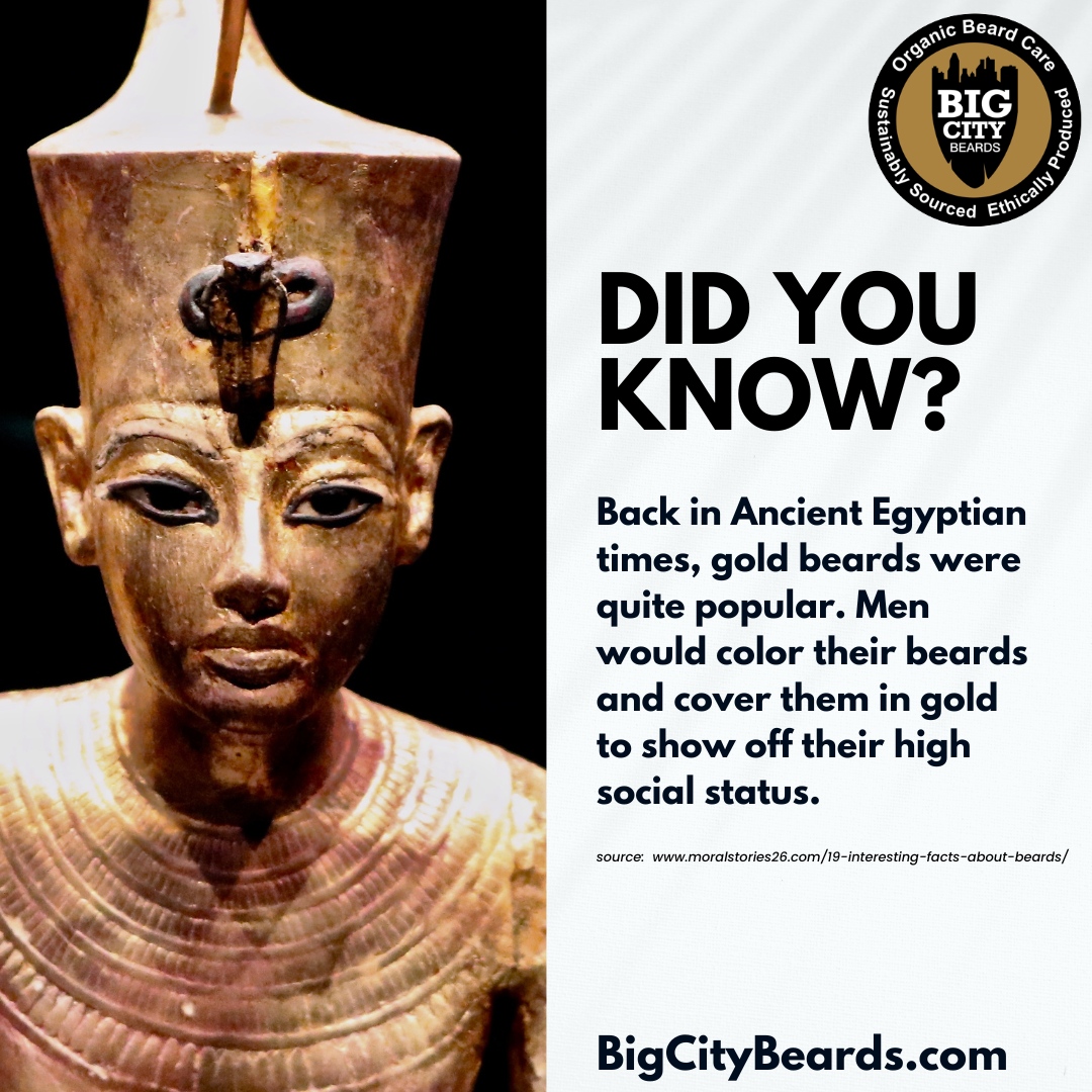 BigCityBeards's tweet photo. Gold beards were believed to have mystical powers and were seen as a way to connect with the gods.

It's fascinating to think that something as simple as a beard could have such cultural significance and be used to display one's wealth and power.  

#DidYouKnow #BigCityBeards https://t.co/YdYcf7FoZN
