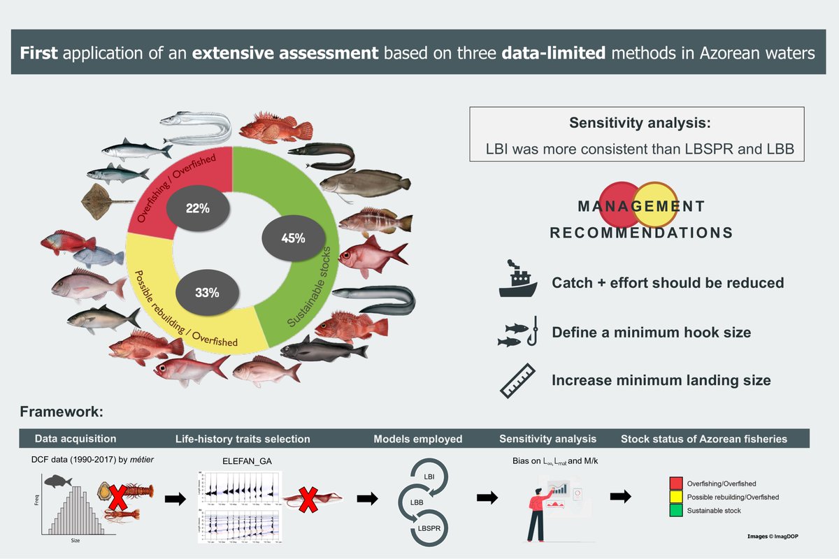 Excited to share the 1st chapter of my #PhD thesis, published on <a href="/RFBFisheries/">Reviews in Fish Biology and Fisheries</a> 
We looked at length-based stock #assessment methods, to predict small-scale #fishery sustainability 🎣

Read at link.springer.com/article/10.100… [OPEN ACCESS]📢

<a href="/AzoresFisheries/">Azores Fisheries Research Group</a> <a href="/pescazproject/">PESCAz</a>  @OkeanosUac