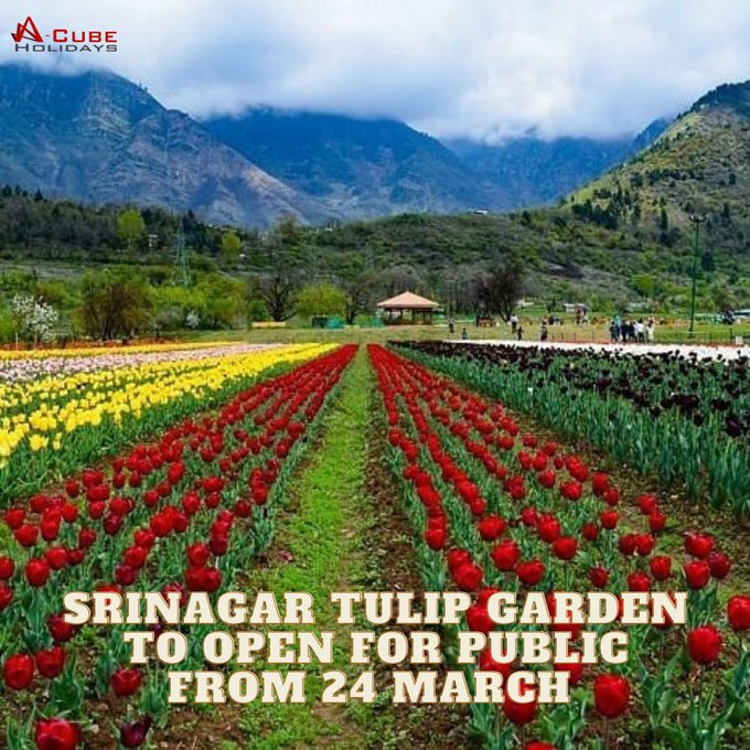 Travel & Tourism Update: Srinagar’s Tulip Garden to open from 24th March.

#kashmir #kashmirholiday #tour #travel #kashmirtour #kashmirtrip #tulipfestival #tulipgarden #summerholiday #familyholiday #bestoffer #specialoffer #bestdeal #specialdeal #discount #familytour #familytrip