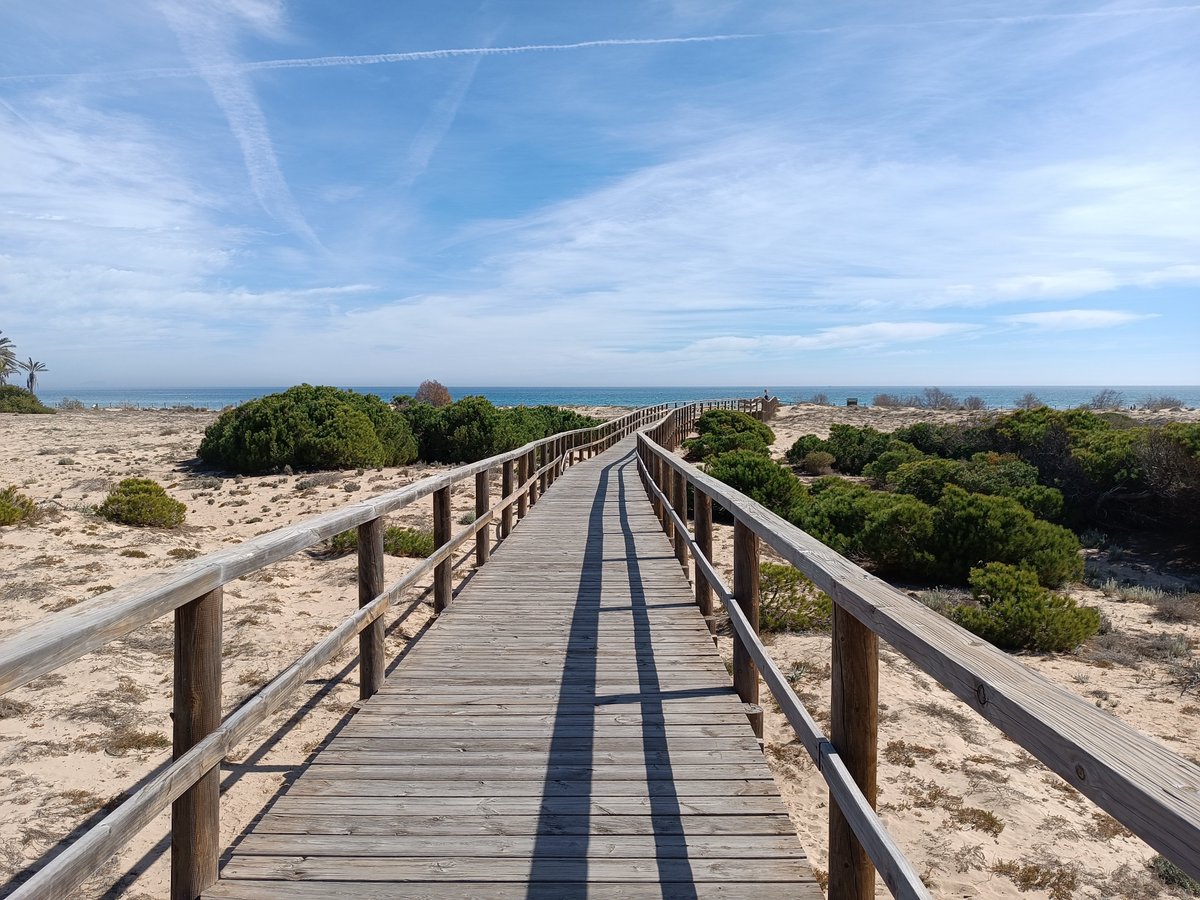 Plenty support to the European Citizens Initiative for the Tobacco End Game 2030. Sign and share in :

eci.ec.europa.eu/029/public/#/s…

Greetings from top Spanish Smoke Free Beach! Our little paradise.