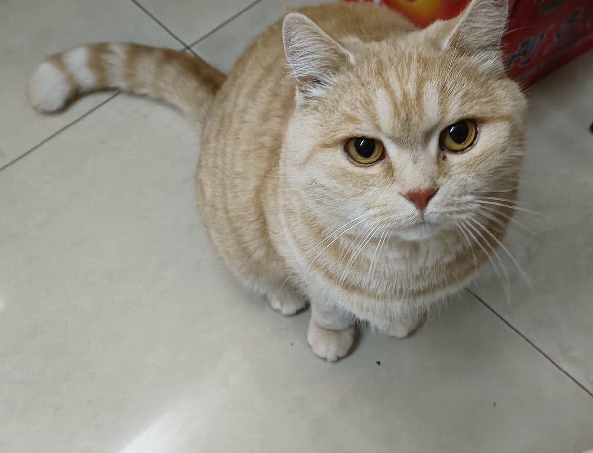 东海龙王气皇大帝 tweet media