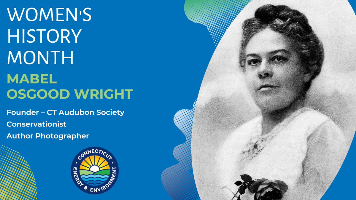 🐦Wright created the 1st bird sanctuary in the United States (Birdcraft Sanctuary, 1914) which now is part of CT Audubon, of which she was also the founder (1896). She was an avid photographer &author, bringing nature to children & the masses through her work. #WomensHistoryMonth