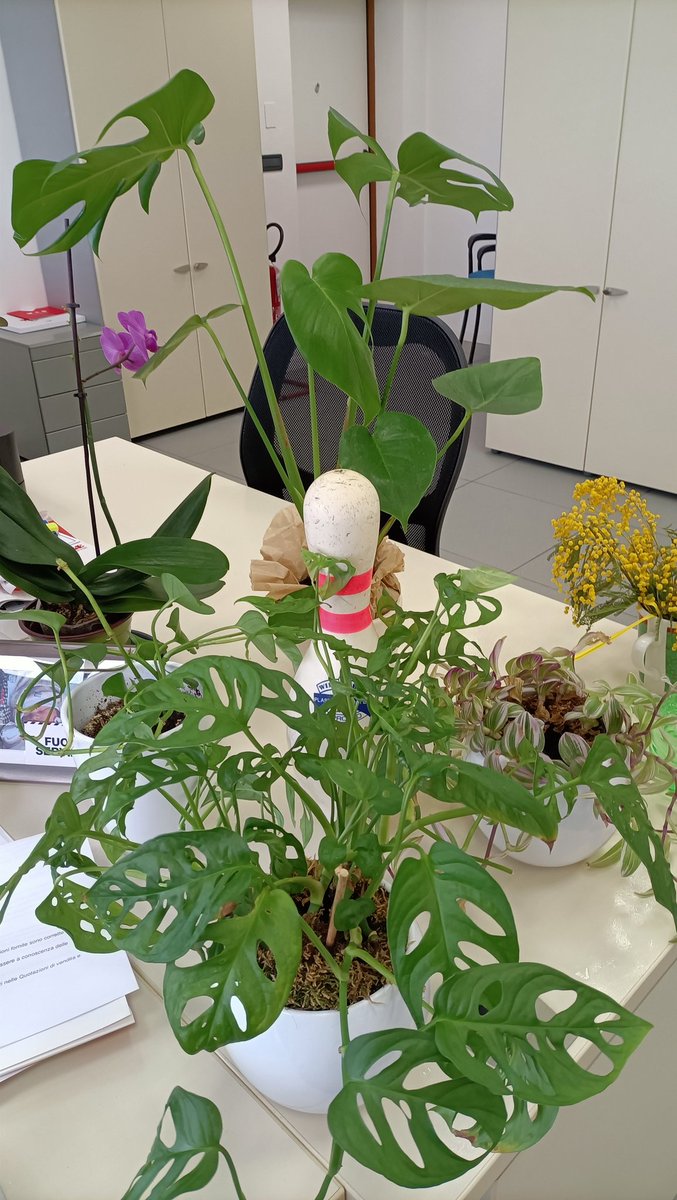 jelena kuznecova tweet media