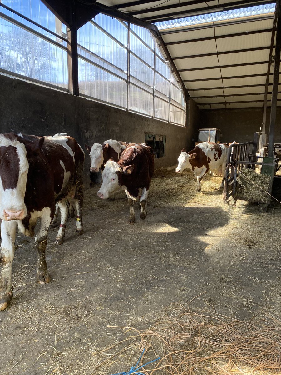 Christine Vazeille tweet media