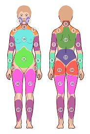 JPainManagMed's tweet photo. #Fibromyalgia is a disorder characterized by widespread #musculoskeletal_pain accompanied by fatigue, sleep, memory and mood issues. 

Visit: https://t.co/vpLBjeLk7r

Submit research work at: https://t.co/GsPcacAIva https://t.co/S3jnfFTH7b