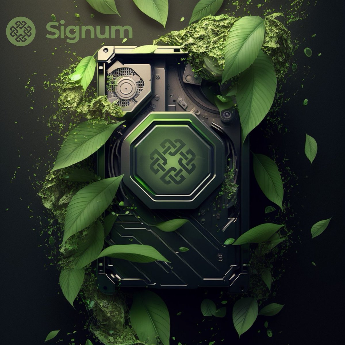 signum_official's tweet photo. Join the green crypto revolution with Signum's hard disk mining. (#PoCPlus) ๐ฑ๐
By using your hard disk space, you can contribute to a more sustainable future and earn $Signa at the same time. https://t.co/63w5nX8lzg
#Signum #HardDiskMining #Sustainability #green #NFT #DeFi https://t.co/10kybyYxVG