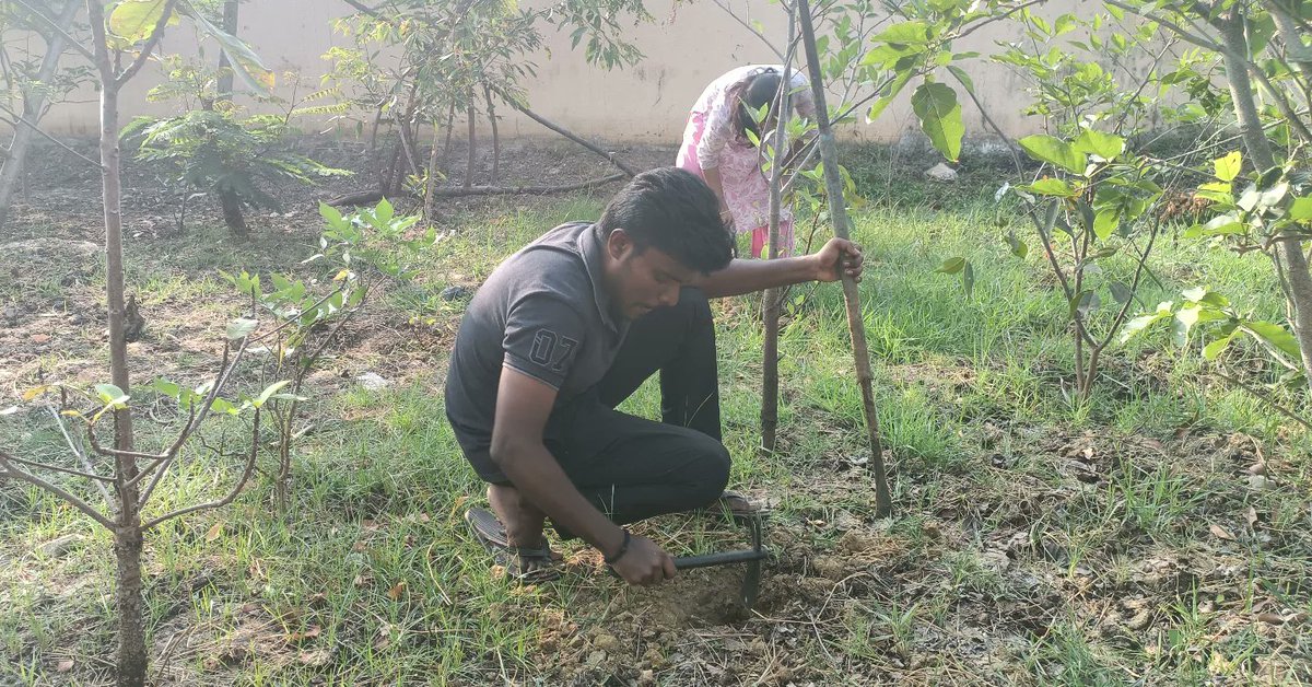 Thuvakkam's tweet photo. Thuvakkam's maintenance activity at TNHB, Sholinganallur. The urban forest created alongside @chennaicorp had its tree care event with 10+ volunteers actively participating in the maintenance drive. 

Join us for more such events

#Thuvakkam #UrbanForest #Maintenance #Volunteer https://t.co/czjC4c470t