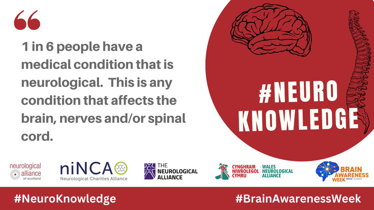 NeuroAlliance's tweet image. This Brain Awareness Week (13 – 19 March 2023) we are joining in @NeuroAlScotland @NINCA_NI @NeuroWales in the #NeuroKnowledge campaign to raise awareness of neurological conditions and what they are. How well do you you think neuro conditions are understood?