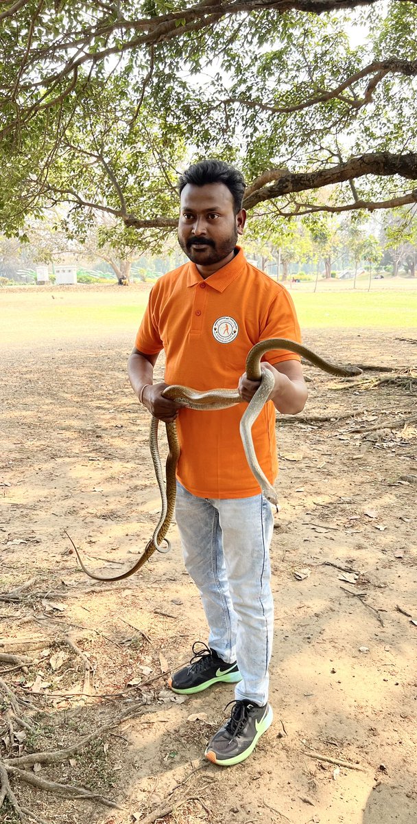 Bantysinghjsr15's tweet photo. साँप 🐍 को सुरक्षित￼ पकड़ कर जंगलों मे छोड़ने वाली टीम छोटू स्नेक सेवर के सदस्यों को जर्सी सेट एवं साँप को सुरक्षित पकड़ने वाली विशेष रूप से तैयार की गई छड़ी दिया!
और आगे भी हर संभव मदद करने का भरोसा दिया!
@PrashantKishor 
@HemantSorenJMM 
@jansuraajonline https://t.co/m4HYXS7igc