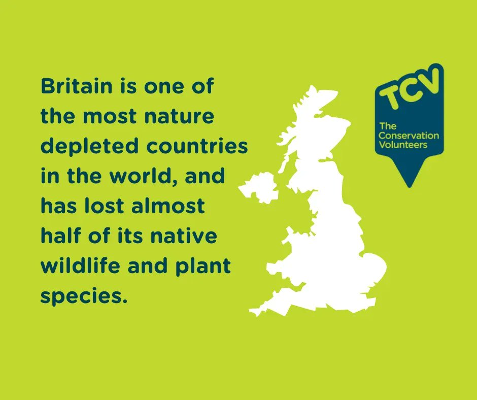 TCVtweets's tweet photo. Britain's native wildlife species have declined dramatically over the past 50 years.  Creating safe habitats for wildlife to live, shelter and breed has never been more important.

Donate now: https://t.co/SBkbpUabWt 

#UKNature #ProtectNature #UKWildlife https://t.co/vDycBENyur