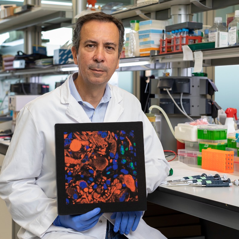 ComissioEuropea's tweet photo. Joan Seoane, professor de l' @icreacommunity és el nostre heroi del mes de març.
La seva recerca ha aconseguit l’eficàcia preclínica d'un fàrmac que pot remetre el tumor cerebral més agressiu.

Vols conèixer els nostres #HeroisEuropeus ?