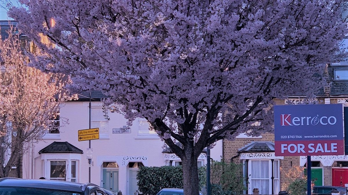 So far 2023 has remained resilient and we would encourage anyone looking to sell their property to invest time and effort to making their home the best it can be.  kerrandco.com/articles/ask-t…

#Hammersmith #Shepherdsbush #property #spring #homesforsale