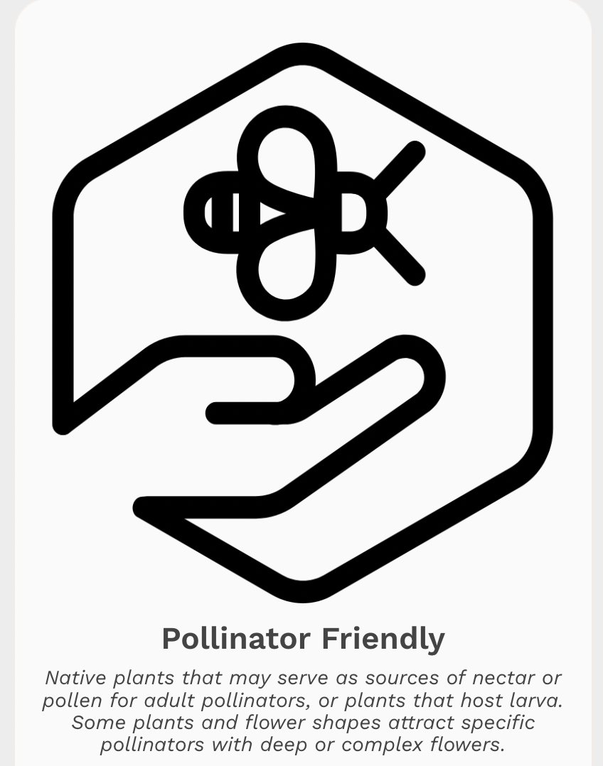 An amazing tool that promotes a common language when talking about food systems!

thelexicon.org/foodicons/libr…