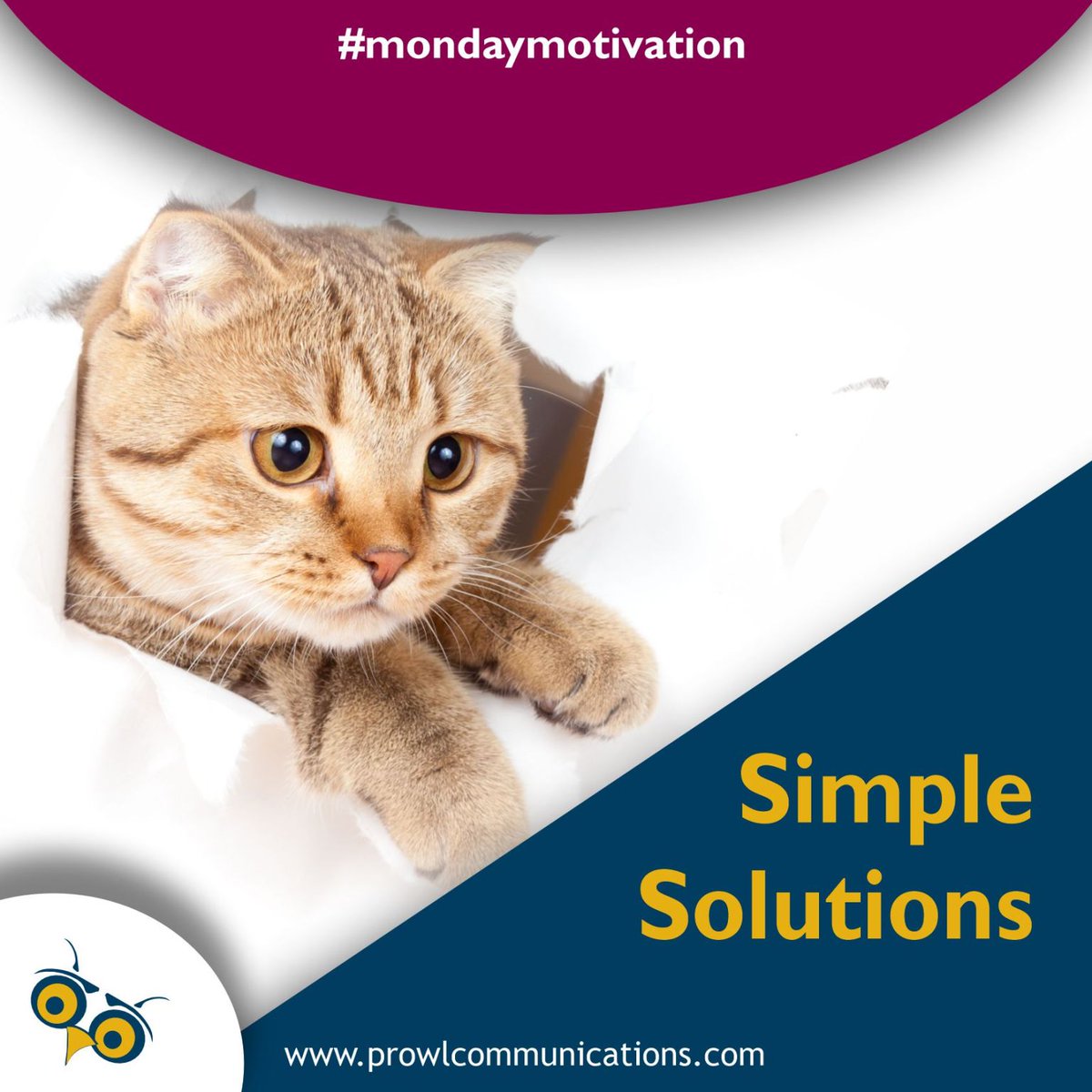 PRowlMarketing's tweet image. Start your week with a fresh perspective and a can-do attitude! Remember, 'sometimes the questions are complicated and the answers are simple.' - Dr. Seuss. Don't overthink things, keep it simple and find the solutions to your problems. 

#MondayMotivation #SimpleAnswers