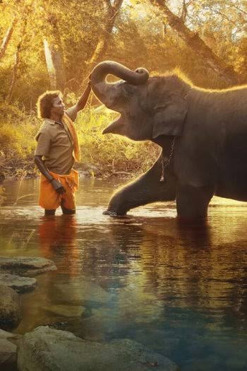 imurthycs's tweet image. &apos;The Elephant Whisperers&apos; wins the Oscar for Best Documentary Short Film 2023.
And also &apos;RRR&apos; creates a history, &apos; naatu naatu&apos; wins the best original song.
 Congratulations! #Oscars #Oscars95 @TheAcademy