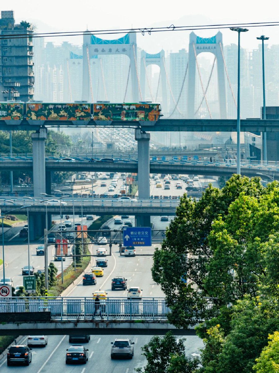 iChongqing_CIMC's tweet image. Happy Monday friends! May your commute be traffic free!
📷XiaoHongShu/daodao
#GoodNightTwitterWorld #happymonday #MondayFun