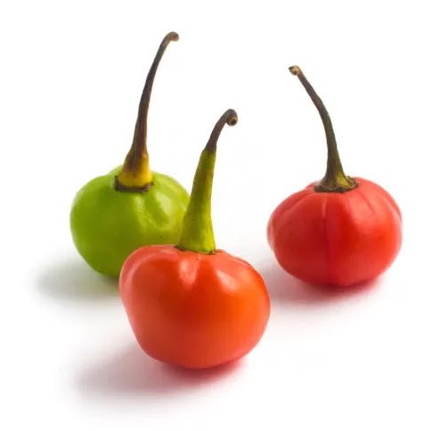 🚨VEJA: Médico sobre jovem internada na UTI após sentir cheiro de pimenta: “Não voltará às atividades normais”.