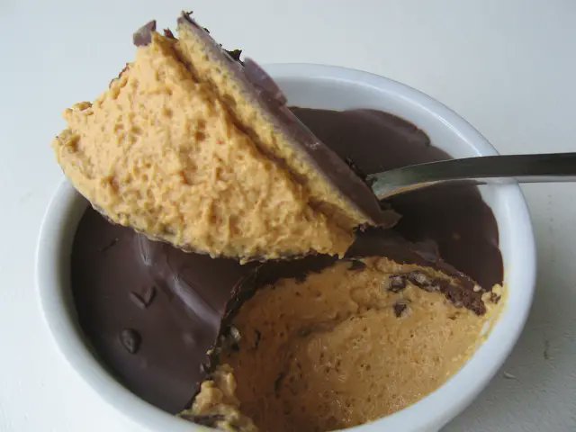 "Woah I love your sona!" thanks its a furrified manjarate