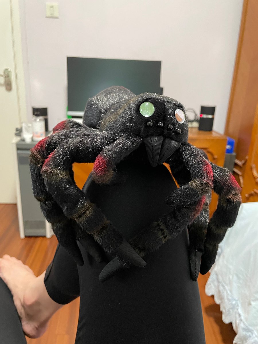 hydrowing's tweet photo. 還有蜘蛛！太可愛了！！！
⚠️ 蜘蛛警告！WARNING SPIDER! https://t.co/rjqPgcbQEj
