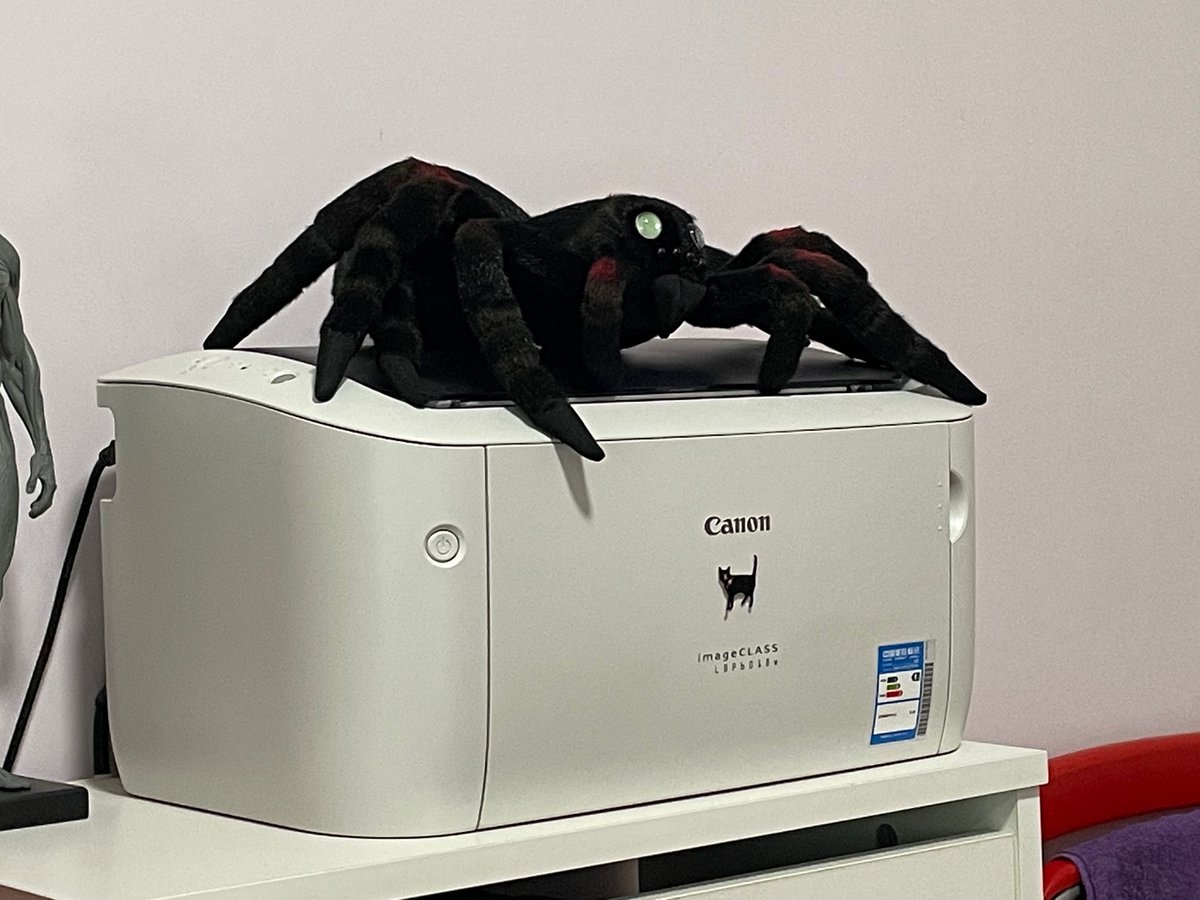 hydrowing's tweet photo. 還有蜘蛛！太可愛了！！！
⚠️ 蜘蛛警告！WARNING SPIDER! https://t.co/rjqPgcbQEj