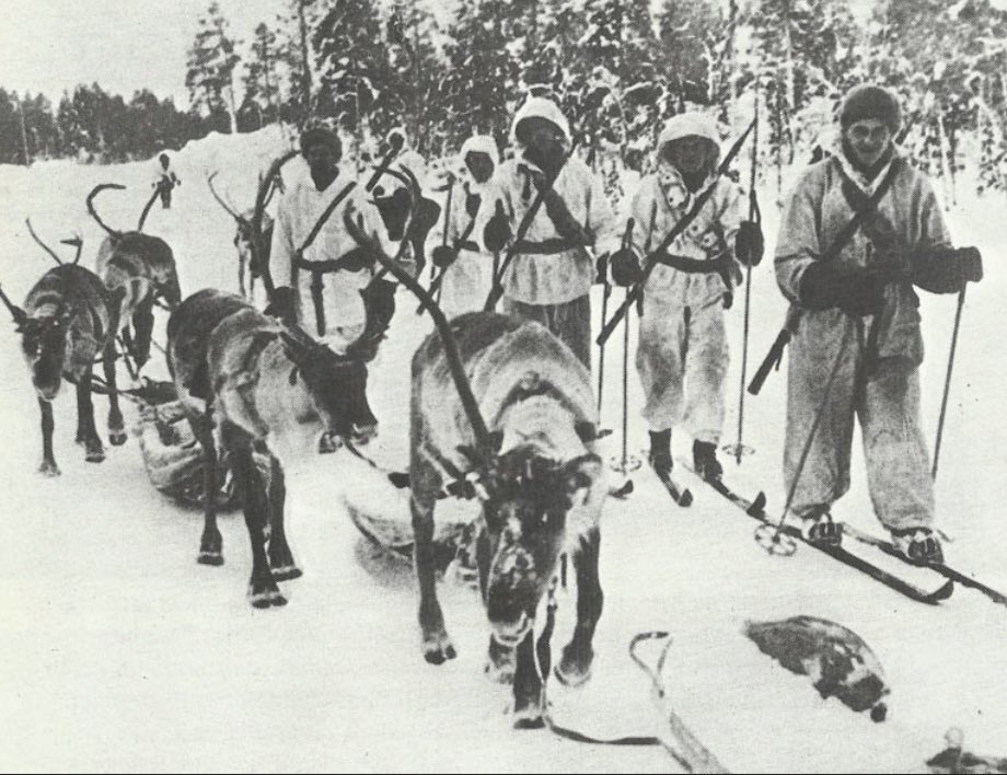 Joel Willans tweet media