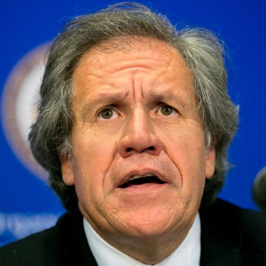 ElNecio_Cuba's tweet photo. 🫢Luis Almagro, secretario general de la OEA, hizo 34 viajes de trabajo con la asesora con la que mantuvo una relación sentimental.

🫢Según reporta The Associated Press, en 15 de estos viajes, incluyendo viajes fuera de EE.UU. (donde tiene sede la organización), el uruguayo Luis Almagro viajó solo con la funcionaria.

🫢La asesora recibió sucesivos ascensos en la organización durante el tiempo que mantuvo una relación íntima con Almagro, de acuerdo con documentos internos del organismo analizados por The Associated Press.

🗣Ahora el político está en el centro de una investigación encargada por la OEA a un comité externo de abogados que debe presentar, a finales de mes, un informe para determinar si esta relación tuvo un carácter indebido y si la asesora fue promovida a causa de un trato preferencial por parte del funcionario.

📎 El Zoom