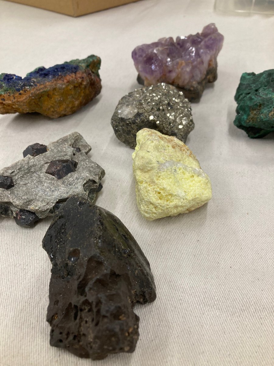 It's Rocks and Soils Week 🪨
As part of #BritishScienceWeek  we look forward to welcoming schools and home educating families to the museum. We will be exploring  the fascinating world of rocks and soils in our hands-on workshops all week. Rock on! #BSW23