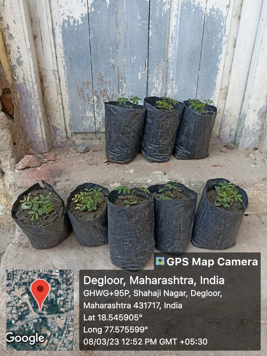 codegloor's tweet photo. देगलूर नगर परिषदेतर्फे माझी वसुंधरा अभियानांतर्गत तसेच हर घर नर्सरी अभियाअंतर्गत बिया व रोपे वाटप मा. मुख्याधिकारी तथा प्रशासक इरलोडसाहेब,उपमुख्याधिकारी प्रयोजा नेम्मा��ीवार मॅडम यांच्या हस्ते करण्यात आले यावेळी उपस्थित प्र.आरोग्य निरीक्षक मार्तंड वनंजे व नगरपरिषदेचे कर्मचारी. https://t.co/hNf1xhSKvx