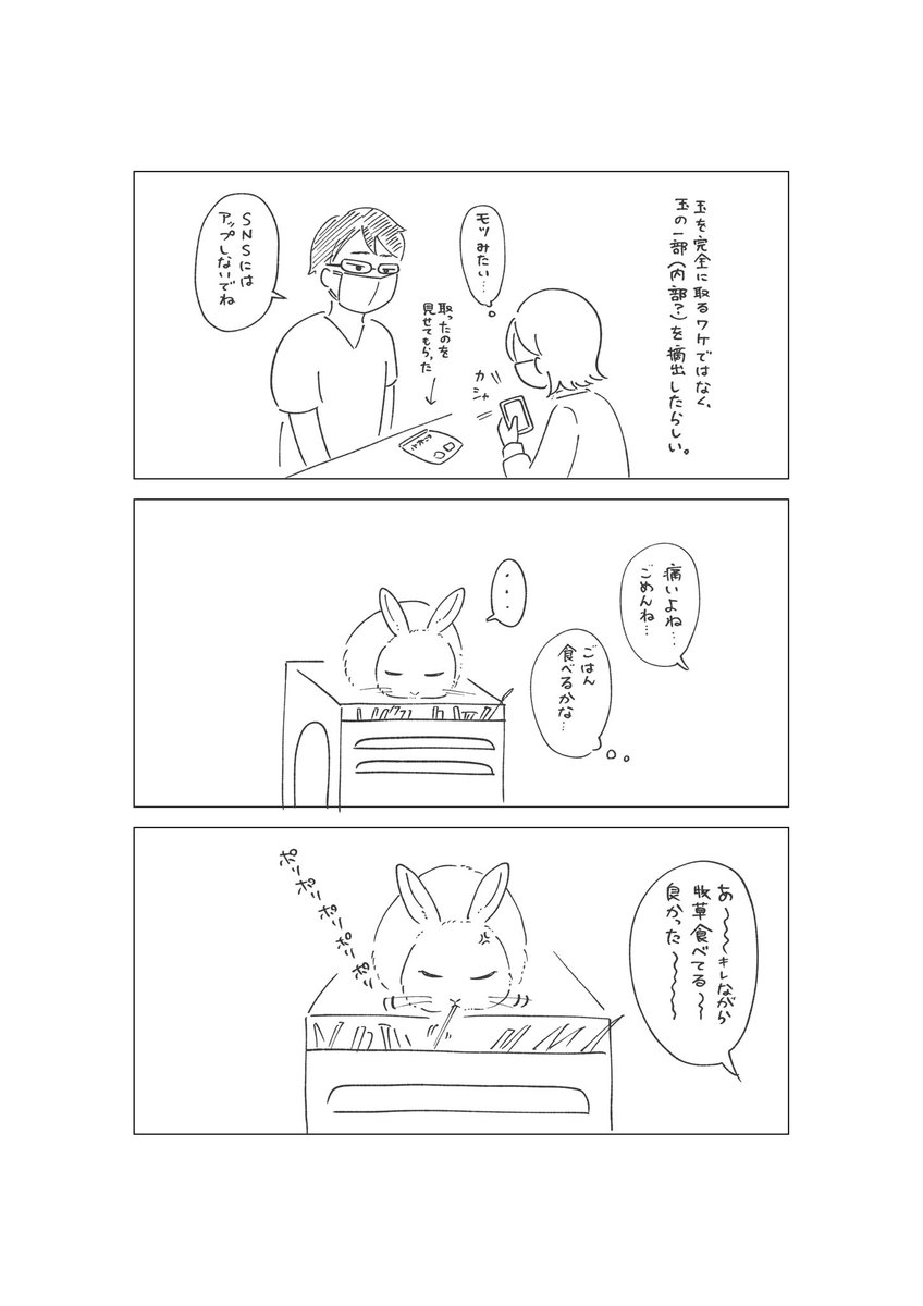 うさぎ 去勢手術

#絵日記 