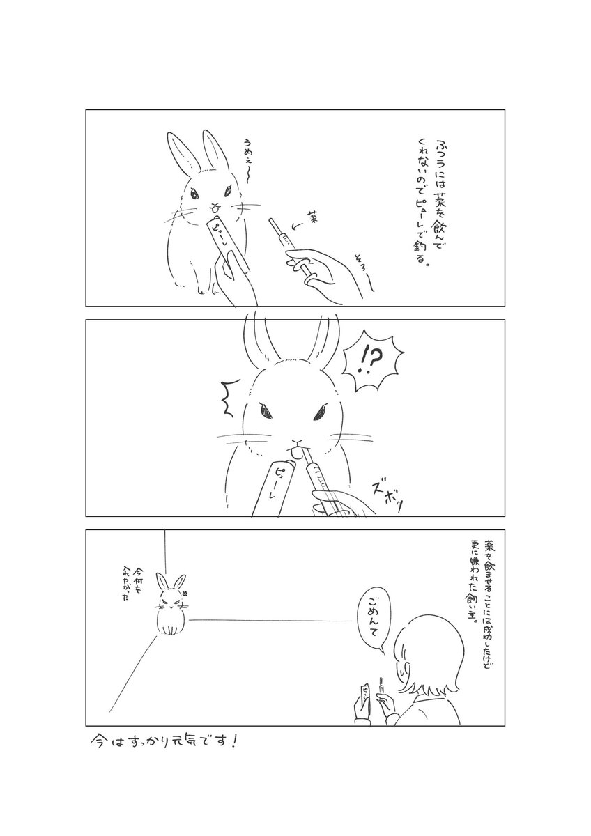 うさぎ 去勢手術

#絵日記 