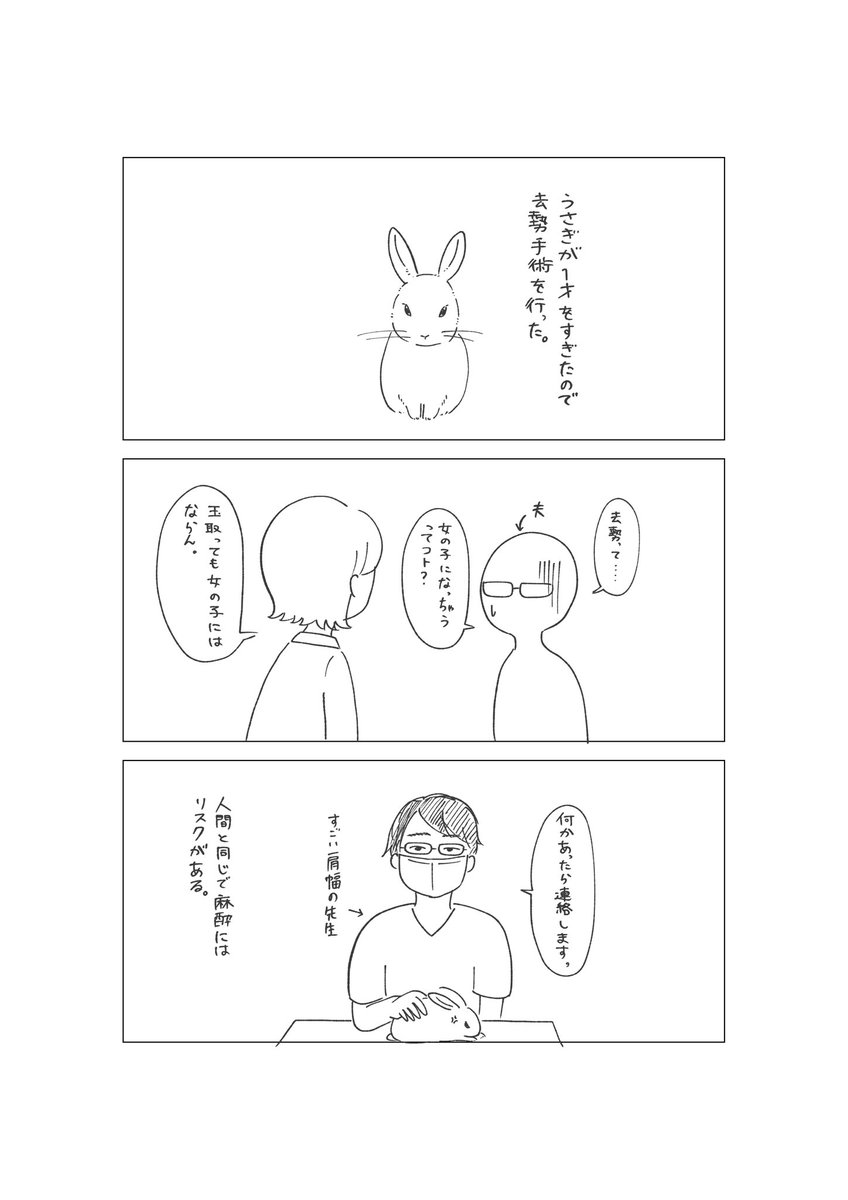 うさぎ 去勢手術

#絵日記 