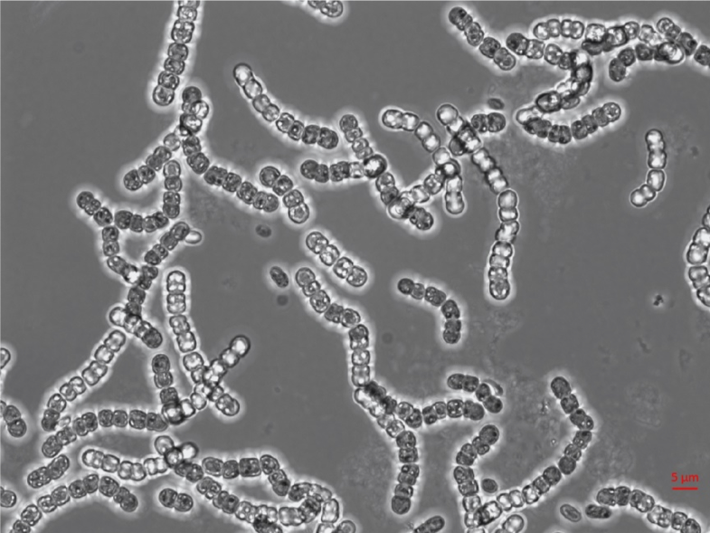 Katrin Hammerschmidt tweet media