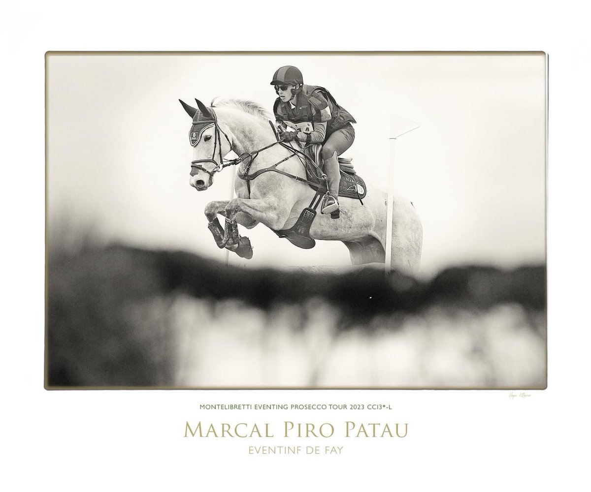 Segundo puesto en la prueba internacional del CCI3*L Montelibretti🥈

Consiguiendo la clasificación para el Campeonato de Europa‼️

Orgulloso de ya poder subir al podio en las primeras pruebas internacionales del año🏆🤩

<a href="/becaspodium/">Becas Podium</a>