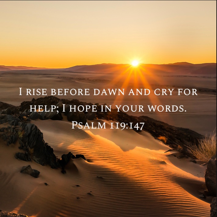 TimGarrisonMO's tweet photo. Favorite part of the day. 📖 🙏🏻
#Psalms https://t.co/IS50SAupFq