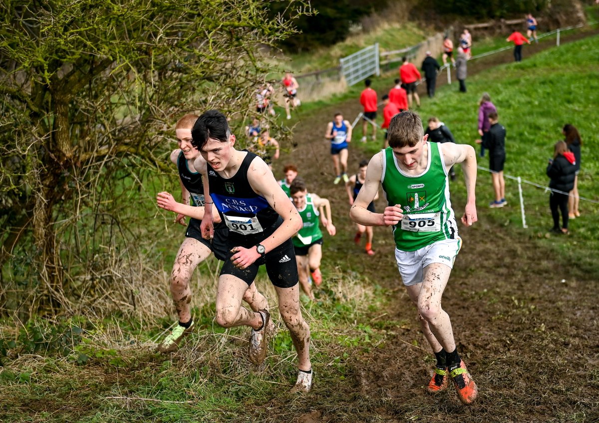 irishathletics tweet picture